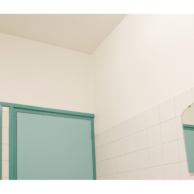 Farba antykondensacyjna RO5090