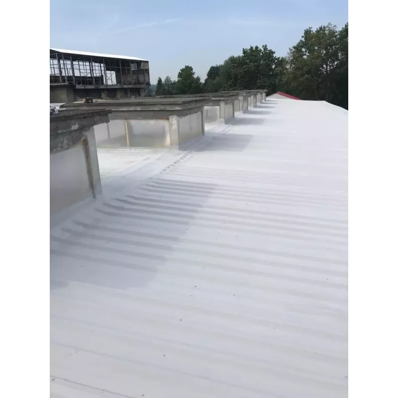 Neoproof Polyurea C1 – profesjonalna membrana hydroizolacyjna do dachów, tarasów i betonu